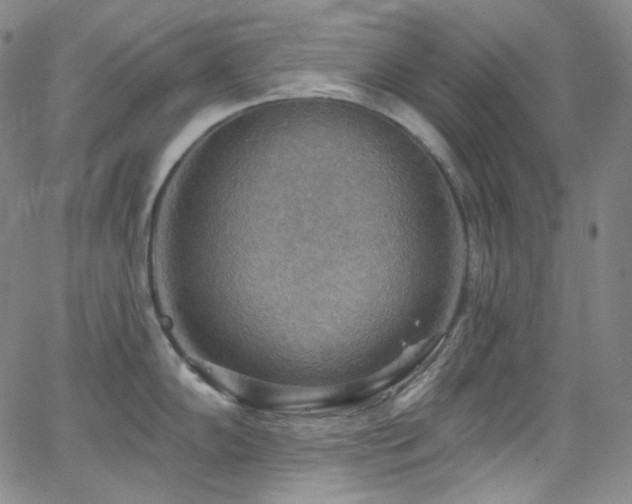 X0000063531102200601201452