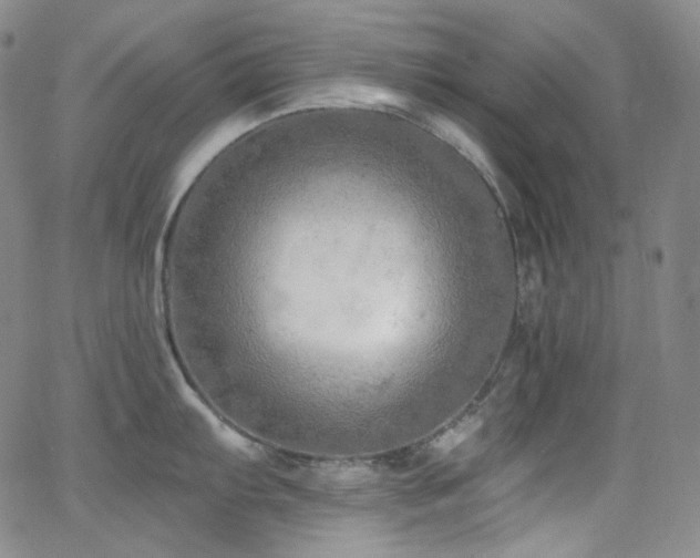 X0000063531103200601201452