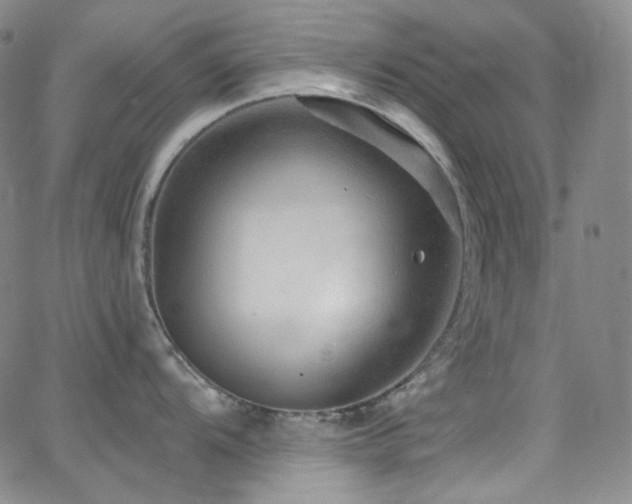 X0000063531104200601201452