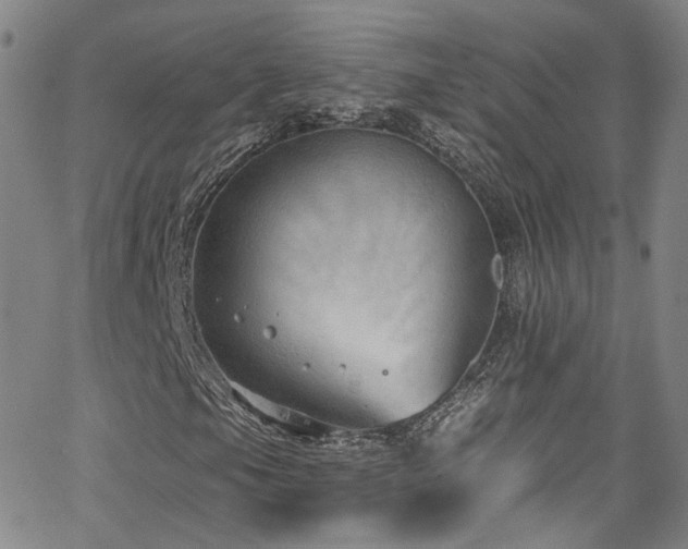 X0000063531105200601201451