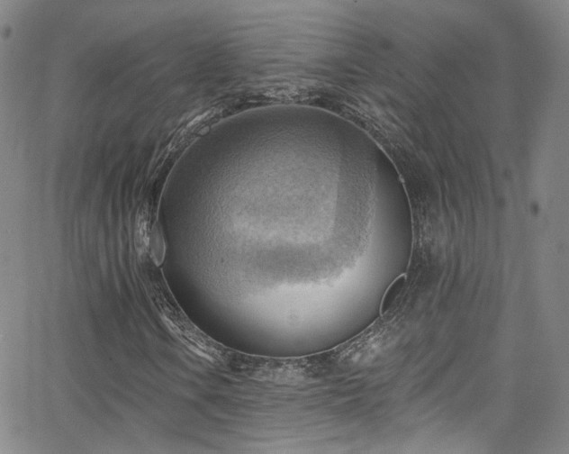 X0000063531106200601201451