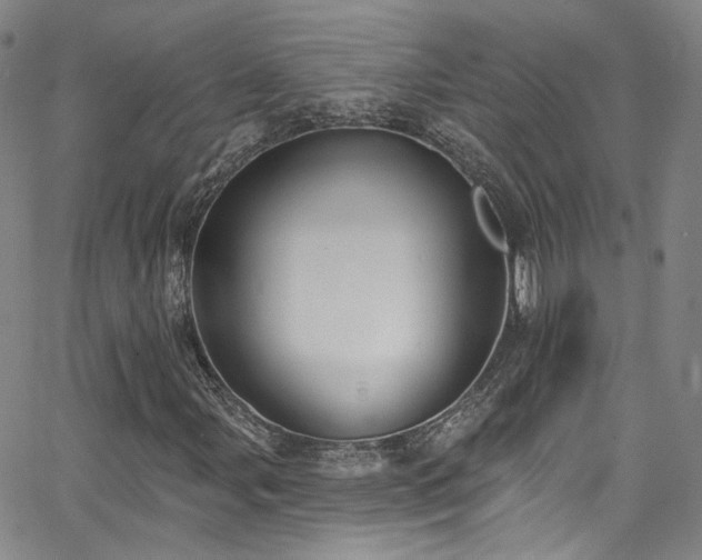 X0000063531107200601201451