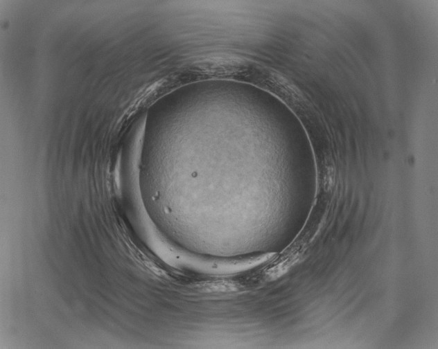 X0000063531108200601201451