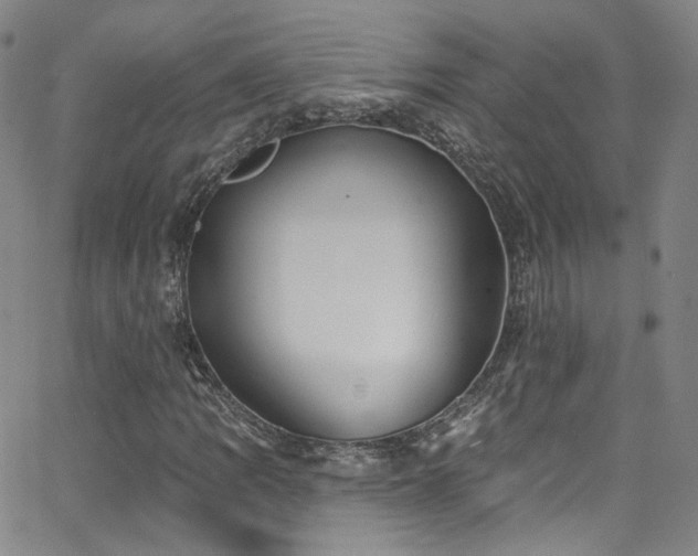 X0000063531109200601201451