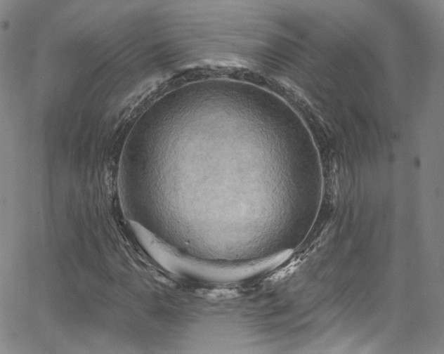 X0000063531110200601201451