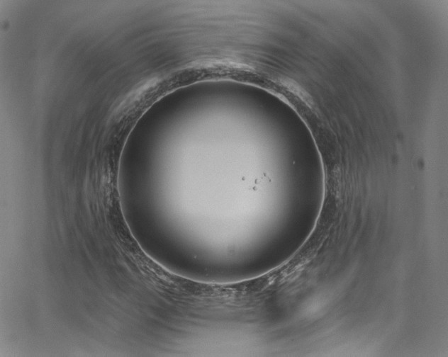 X0000063531111200601201451