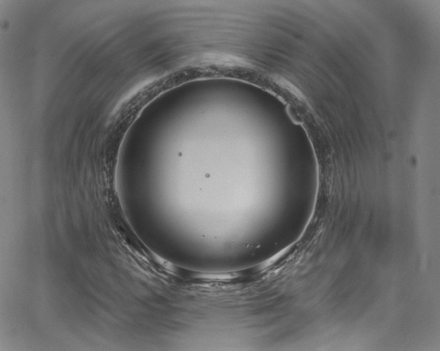 X0000063531112200601201451