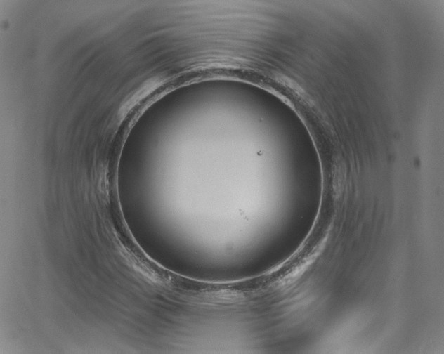 X0000063531113200601201451