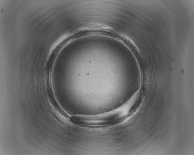 X0000063531114200601201451