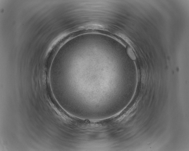 X0000063531115200601201451