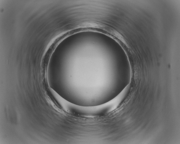 X0000063531116200601201451