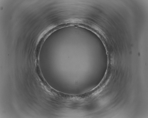 X0000063531117200601201451