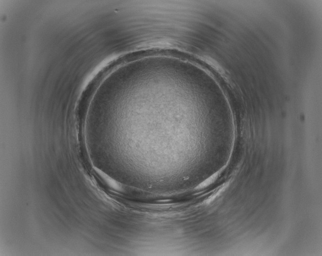 X0000063531118200601201451