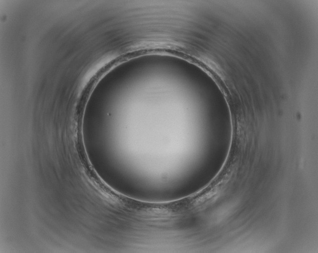 X0000063531119200601201451