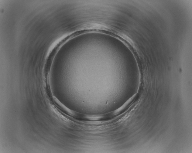 X0000063531120200601201451