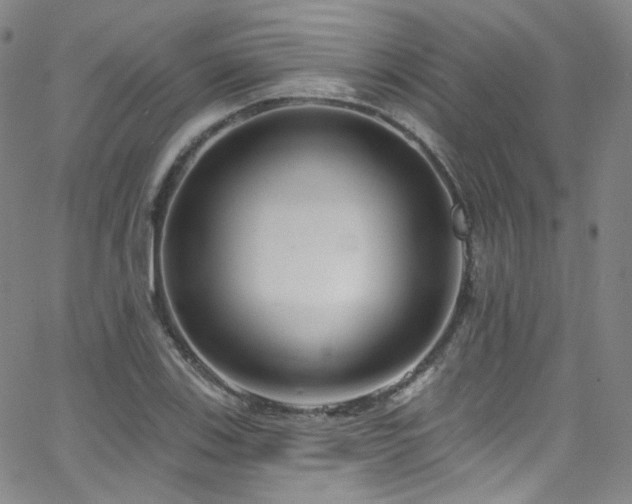 X0000063531123200601201451