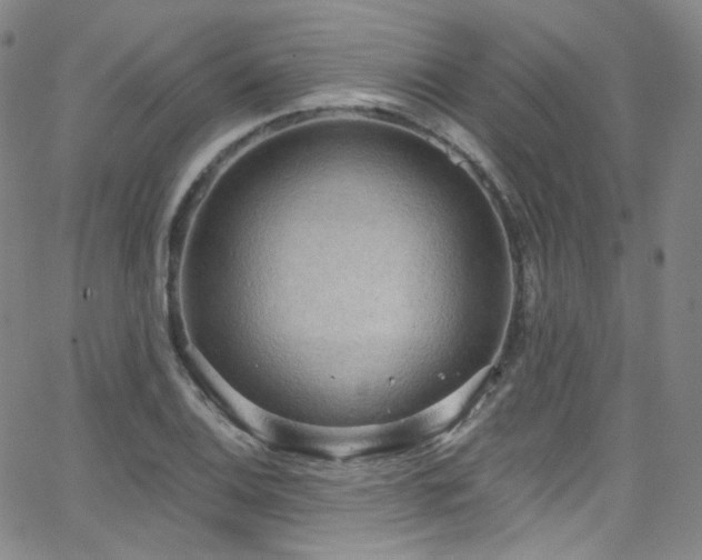 X0000063531124200601201451