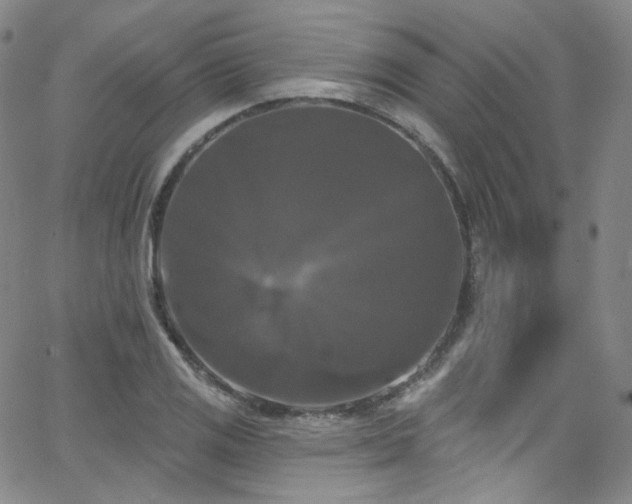 X0000063531125200601201451