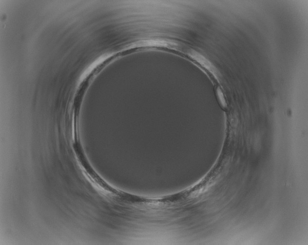 X0000063531127200601201451