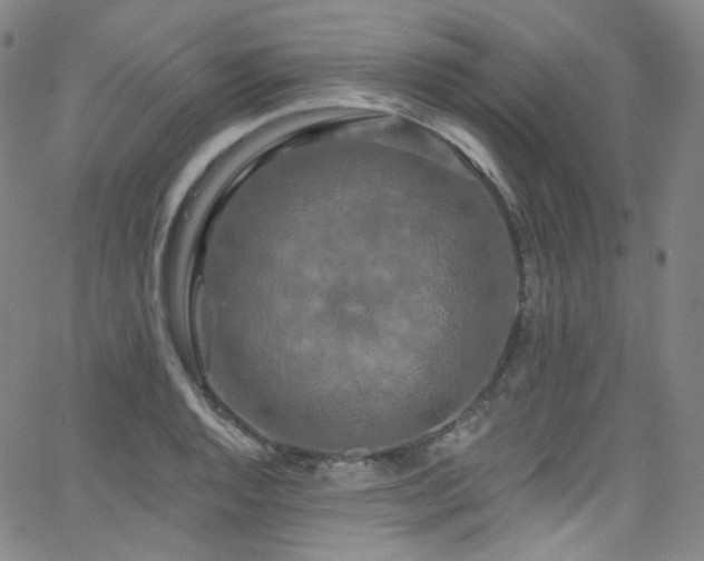 X0000063531128200601201451