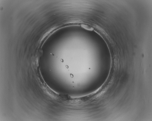 X0000063531129200601201451