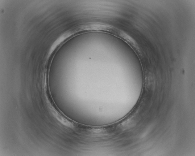 X0000063531130200601201451