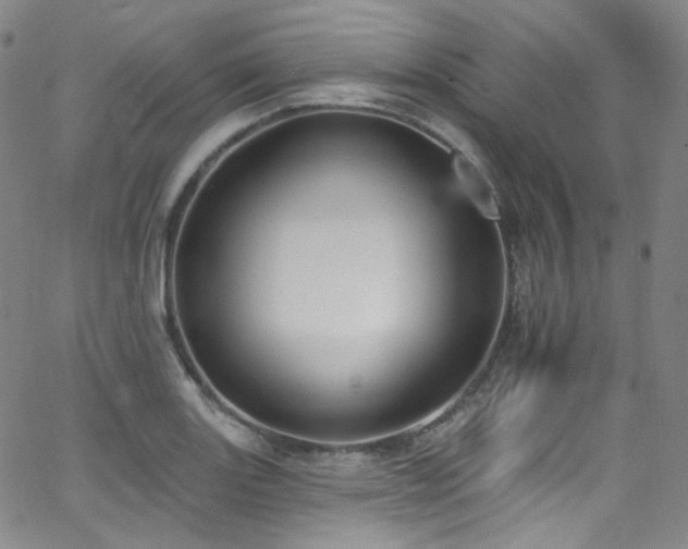 X0000063531131200601201451