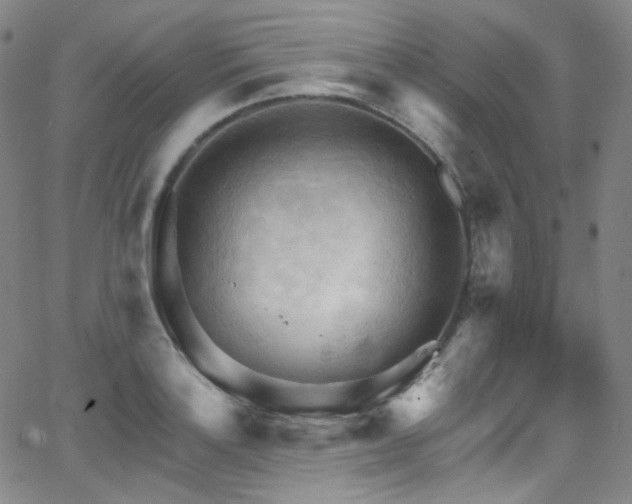 X0000063531132200601201451