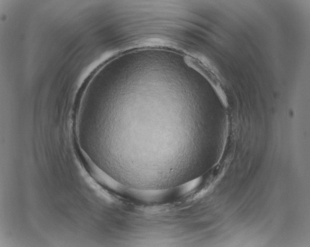 X0000063531134200601201451