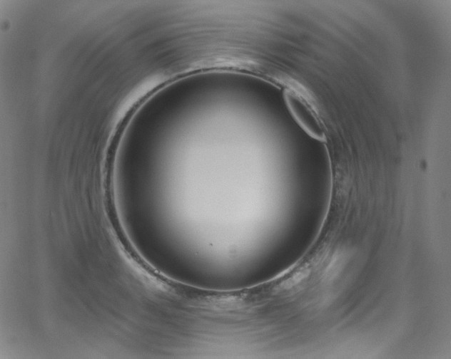 X0000063531135200601201451