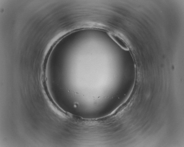 X0000063531136200601201451