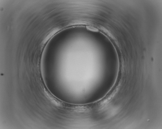 X0000063531137200601201451