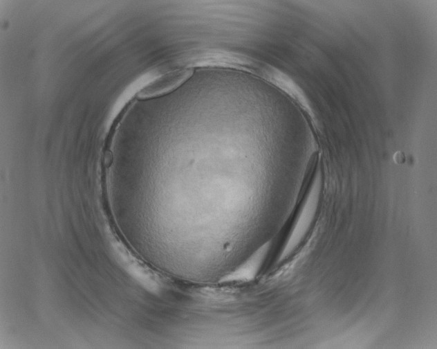 X0000063531138200601201452