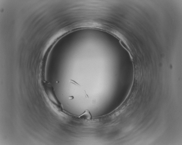 X0000063531139200601201452