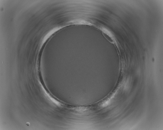 X0000063531141200601201452