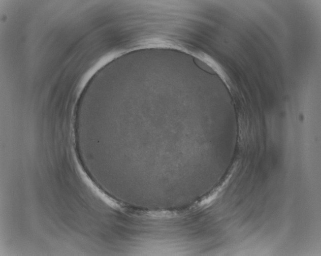 X0000063531142200601201452