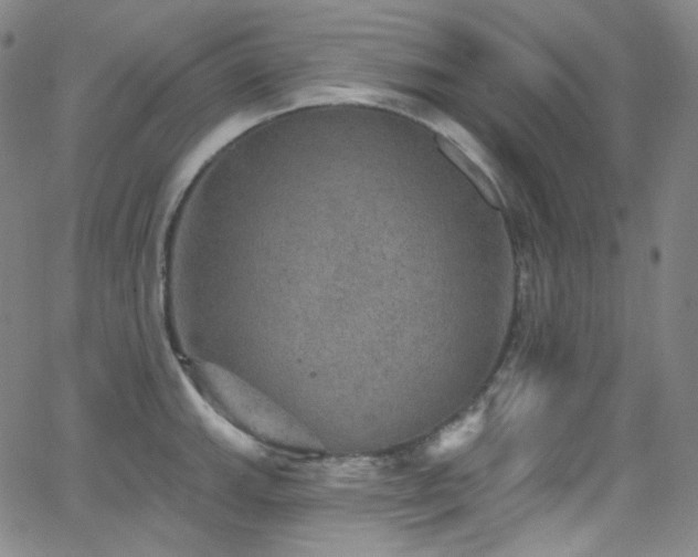 X0000063531143200601201452