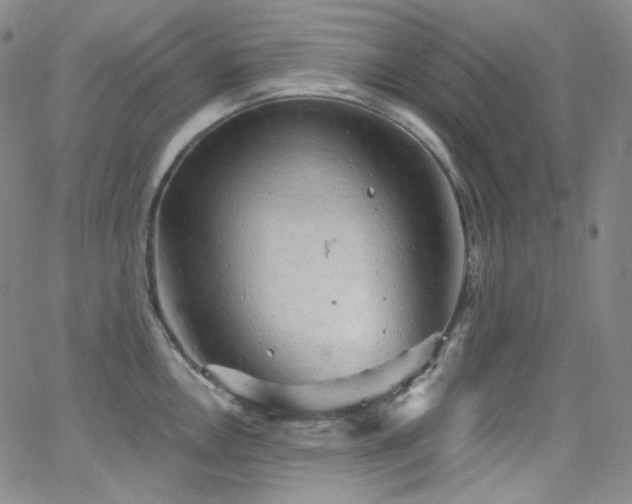 X0000063531146200601201452