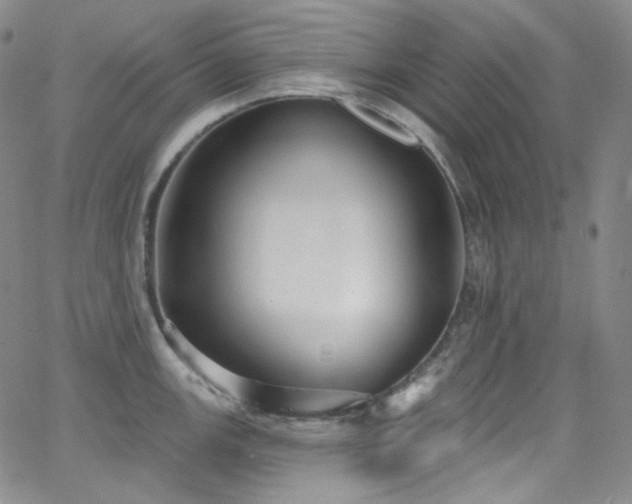 X0000063531147200601201452