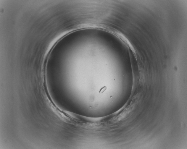 X0000063531148200601201452