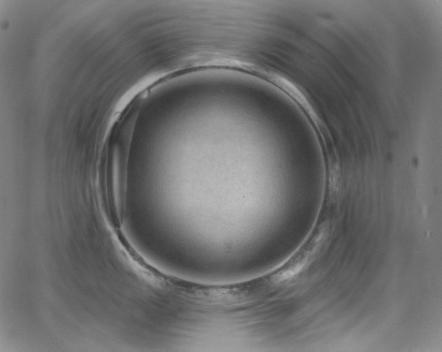 X0000063531149200601201452