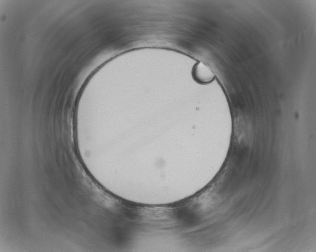 X0000063531150200601201452