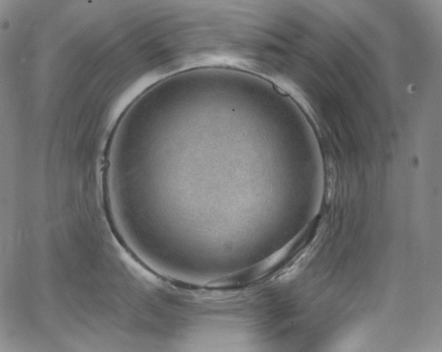 X0000063531151200601201452