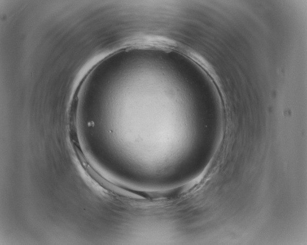 X0000063531152200601201452