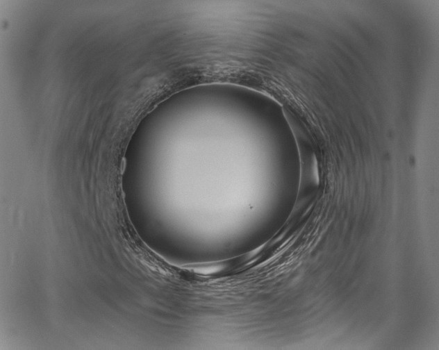 X0000063531153200601201451