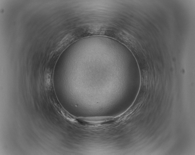 X0000063531154200601201451