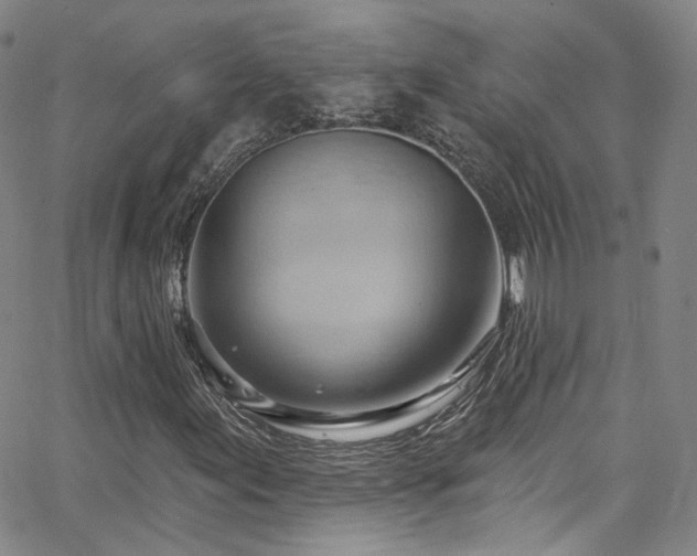 X0000063531155200601201451