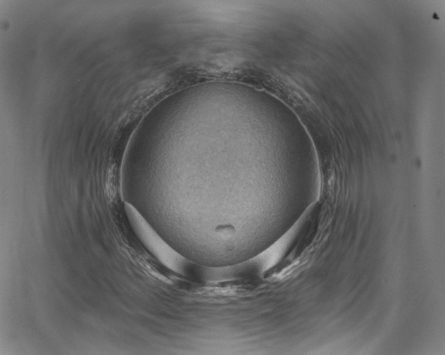 X0000063531156200601201451