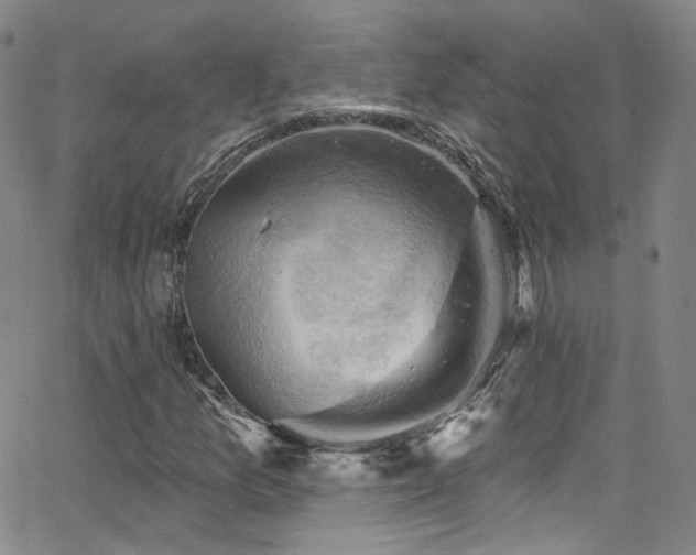 X0000063531157200601201451