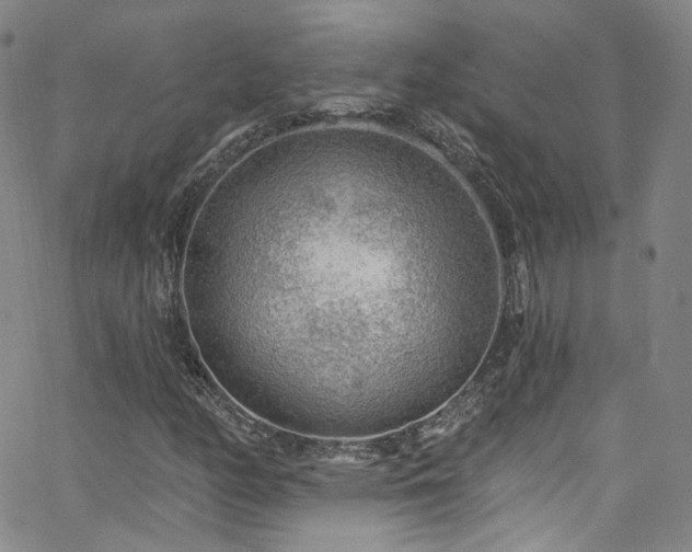 X0000063531158200601201451